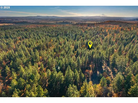 126 Noble Fir Goldendale WA 98620