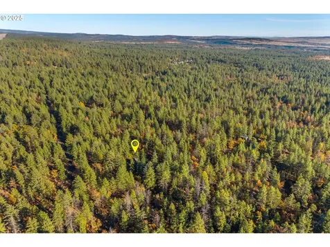 126 Noble Fir Goldendale WA 98620