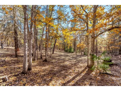 126 Noble Fir Goldendale WA 98620