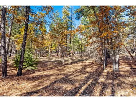 126 Noble Fir Goldendale WA 98620
