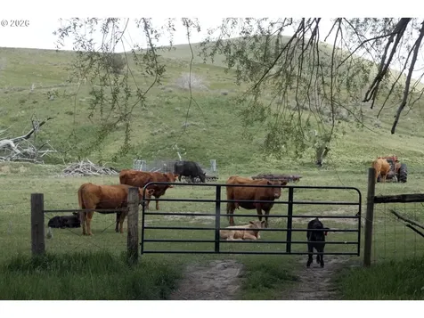 37799 Alder Creek Road Baker City OR 97814