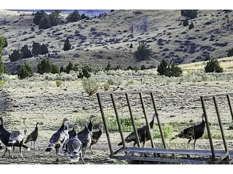 37799 Alder Creek Road Baker City OR 97814