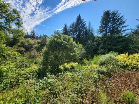 33050 Hillside Acres Road Gold Beach OR 97444