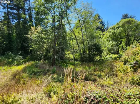 33050 Hillside Acres Road Gold Beach OR 97444