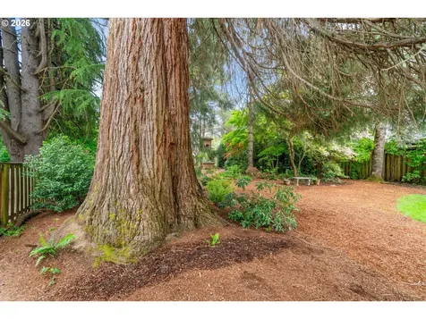 2117 C Street Forest Grove OR 97116