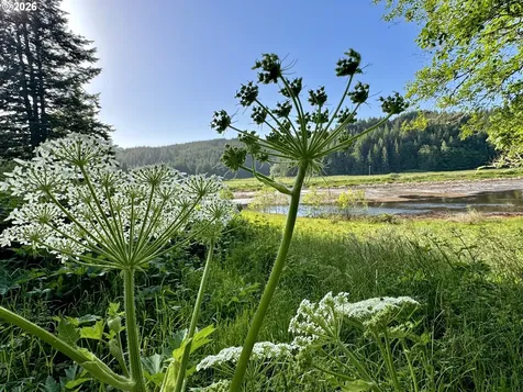 94475 Golf Course Lane North Bend OR 97459
