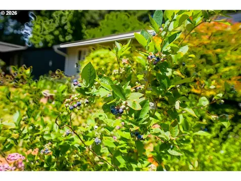 9897 SW Siuslaw Lane Tualatin OR 97062