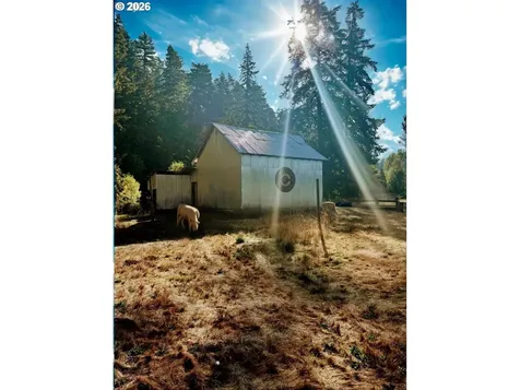 77189 Mosby Creek Road Cottage Grove OR 97424