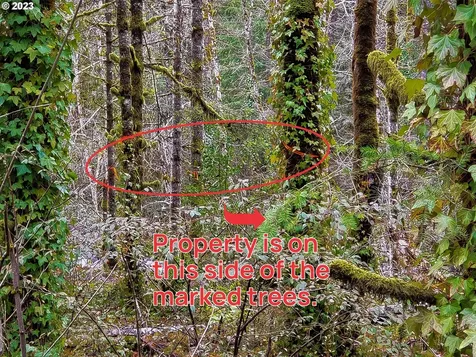E Barlow Trail Road Brightwood OR 97011