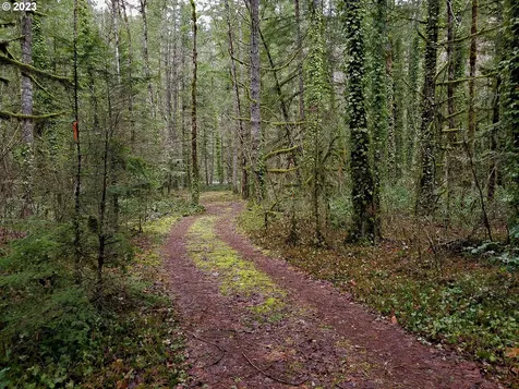 E Barlow Trail Road Brightwood OR 97011