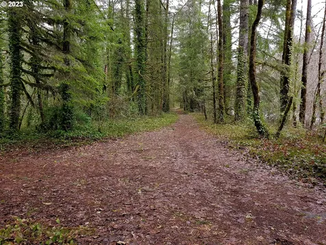 E Barlow Trail Road Brightwood OR 97011