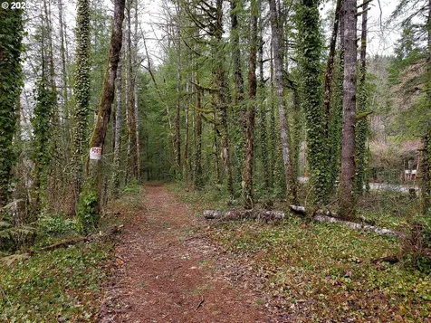 E Barlow Trail Road Brightwood OR 97011