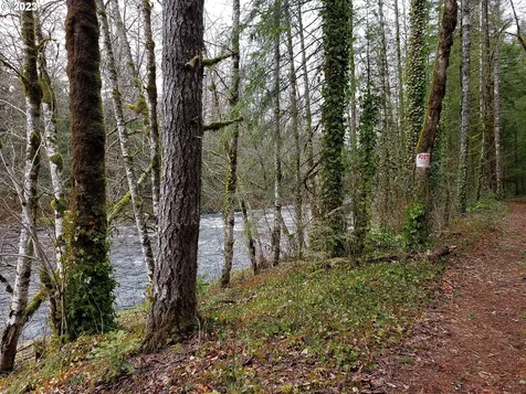 E Barlow Trail Road Brightwood OR 97011