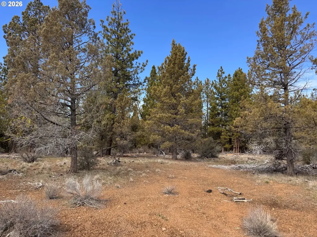 Bliss Road Sprague River OR 97639