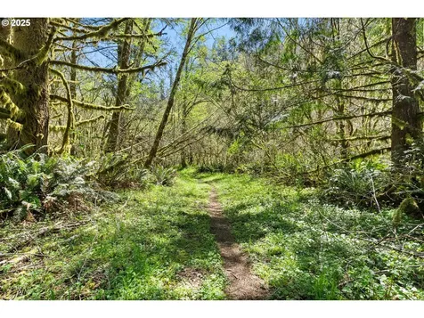 92033 Deadwood Creek Road Deadwood OR 97430