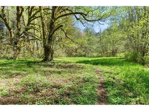 92033 Deadwood Creek Road Deadwood OR 97430