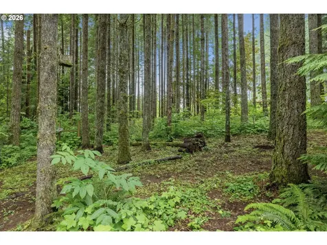 1516 SE 389th Avenue Washougal WA 98671