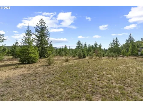 330 Riley Court Toutle WA 98649