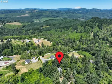 14900 NE 399th Street Amboy WA 98601