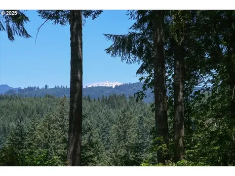 14900 NE 399th Street Amboy WA 98601