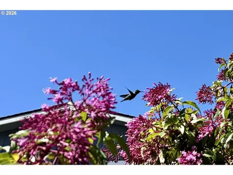 15889 Sunset Strip Brookings OR 97415