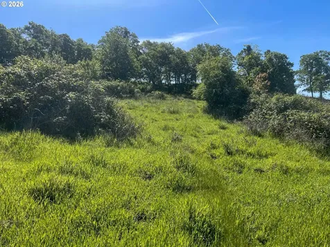 0 NE Barager Avenue Roseburg OR 97470