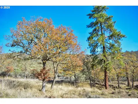 1379 Humbug Creek Road Applegate OR 97530