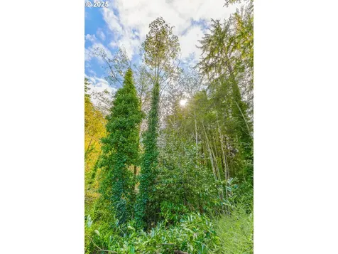 565 Shorepines Court Coos Bay OR 97420