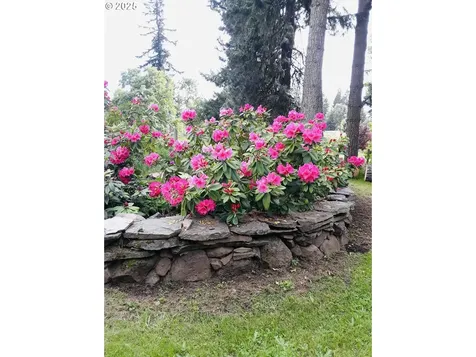 6150 Miller Road Mt Hood Prkdl OR 97041