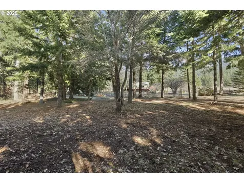 6150 Miller Road Mt Hood Prkdl OR 97041