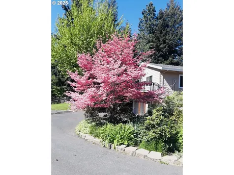 6150 Miller Road Mt Hood Prkdl OR 97041