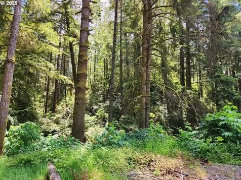 12829 Wildwood Drive North Bend OR 97459