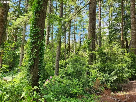 12829 Wildwood Drive North Bend OR 97459