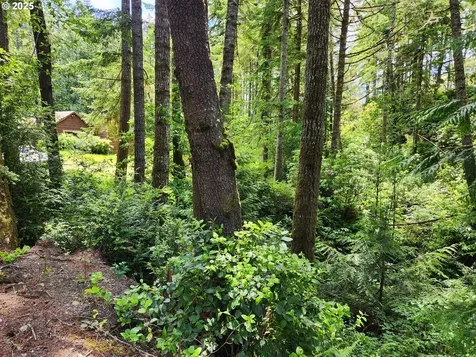 12829 Wildwood Drive North Bend OR 97459