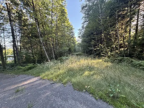 217 Ham Road Amboy WA 98601