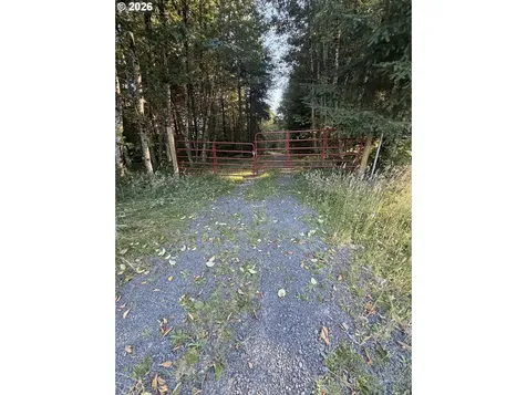 217 Ham Road Amboy WA 98601