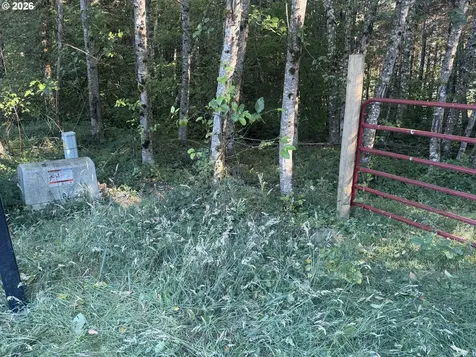 217 Ham Road Amboy WA 98601
