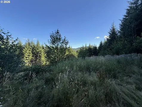 217 Ham Road Amboy WA 98601