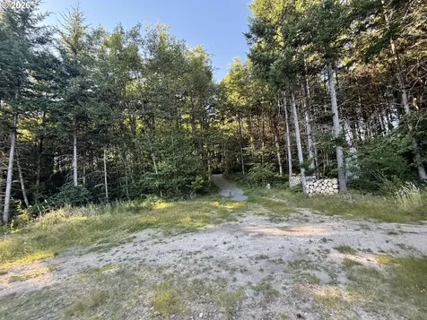 217 Ham Road Amboy WA 98601