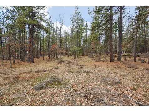 14 Weona Road Goldendale WA 98620