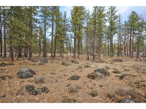 14 Weona Road Goldendale WA 98620