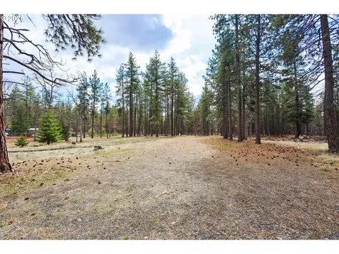 14 Weona Road Goldendale WA 98620