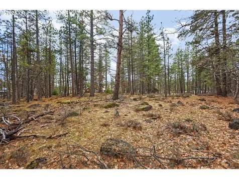 14 Weona Road Goldendale WA 98620
