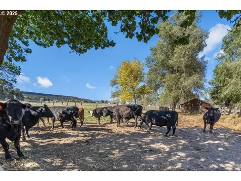 3360 NW Rimrock Acres Loop Prineville OR 97754