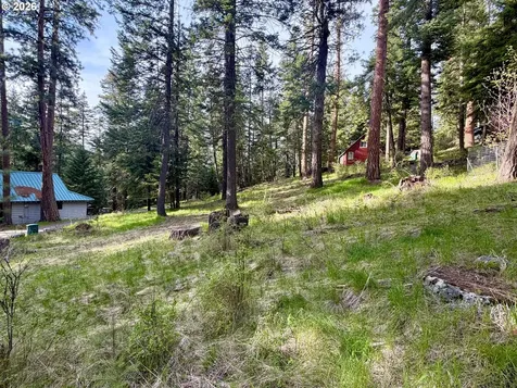 Forest Dell Avenue Wallowa Lake OR 97846