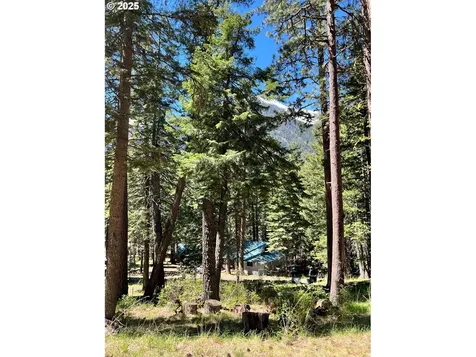 Forest Dell Avenue Wallowa Lake OR 97846