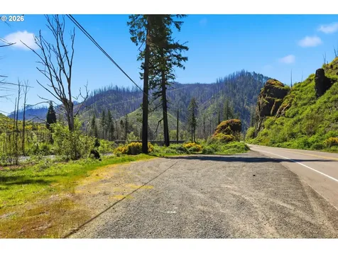 50660 Mckenzie Highway Vida OR 97488