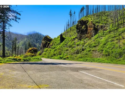 50660 Mckenzie Highway Vida OR 97488