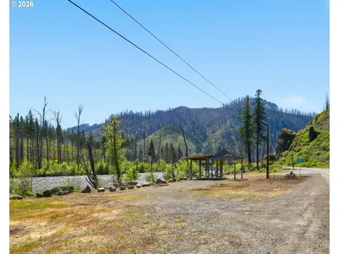 50660 Mckenzie Highway Vida OR 97488