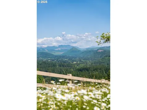 18817 NE 391st Street Amboy WA 98601